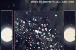 SEINE - Gori 2